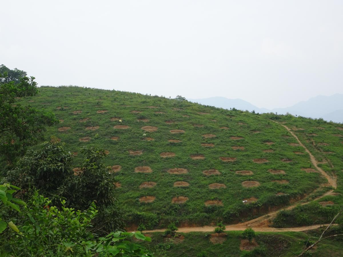 Thac Ba Family Homestay Ho To Exterior foto